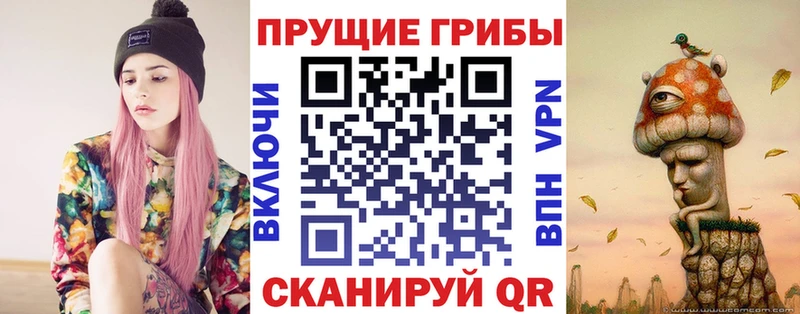 купить закладку  Киренск  кракен как зайти  Псилоцибиновые грибы ЛСД 